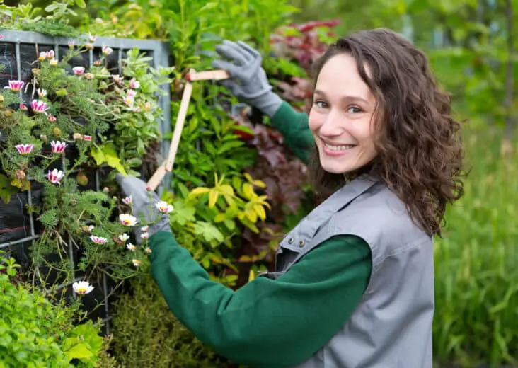 How Much Do Gardeners Make