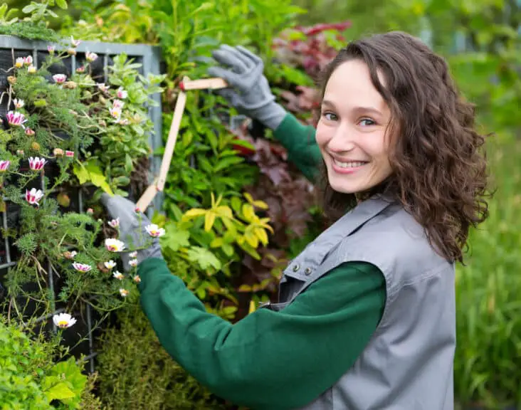 How Much Do Gardeners Make