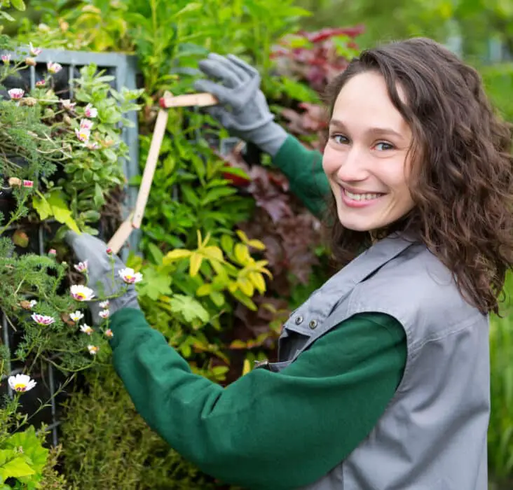 How Much Do Gardeners Make