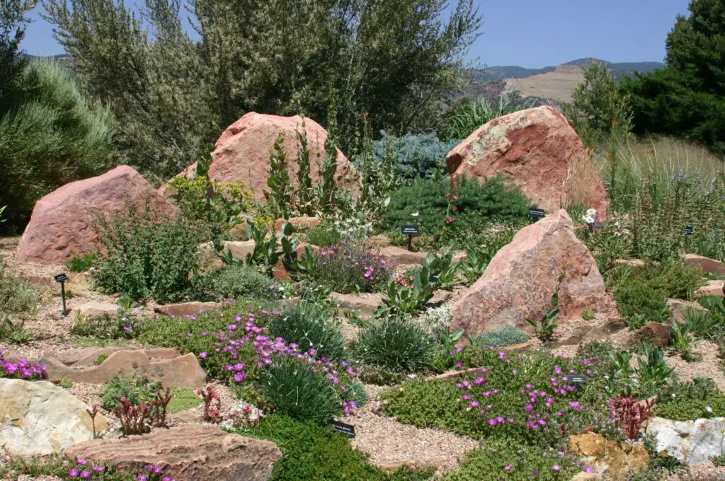 What Gardening Zone Is Colorado Springs
