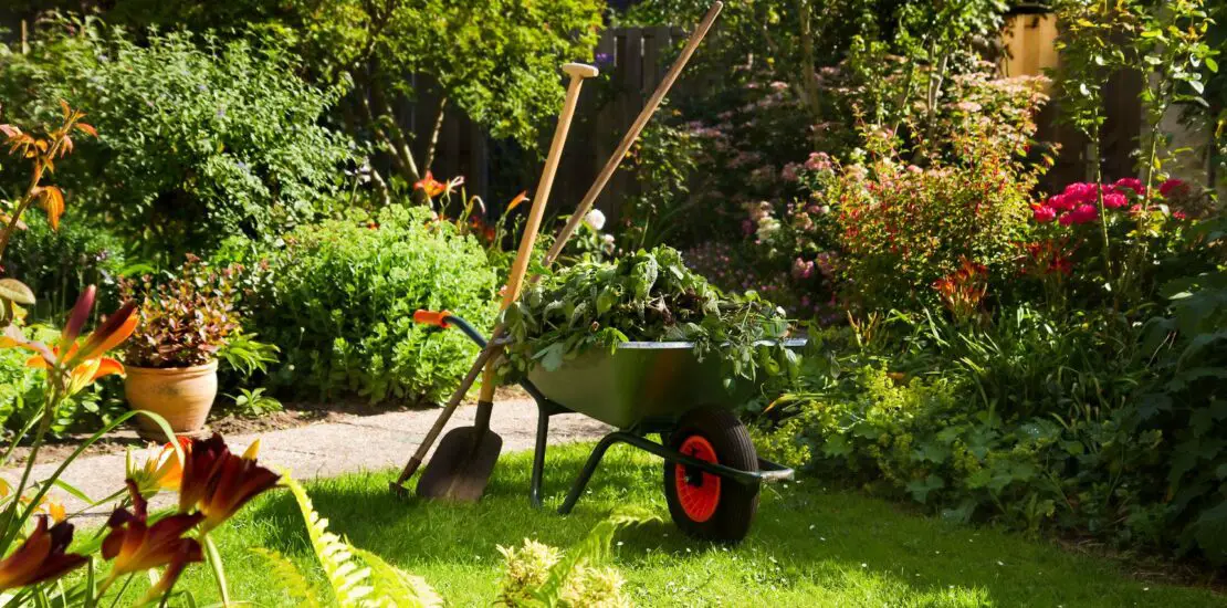 When To Start Gardening For Spring