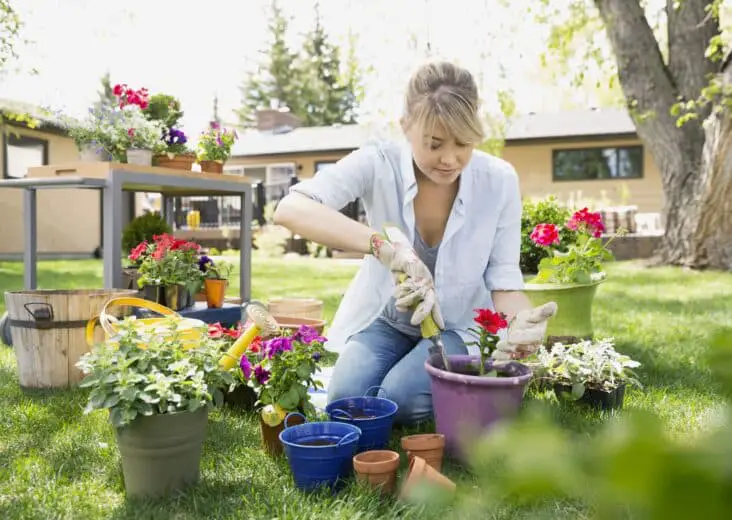 Who Is The Patron Saint Of Gardening