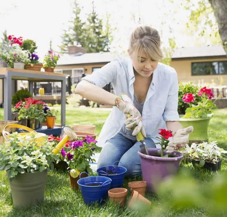 Who Is The Patron Saint Of Gardening