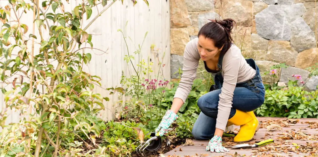 How To Sharpen Gardening Clippers