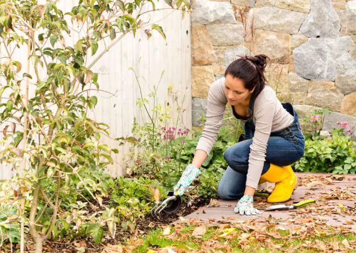 How To Sharpen Gardening Clippers