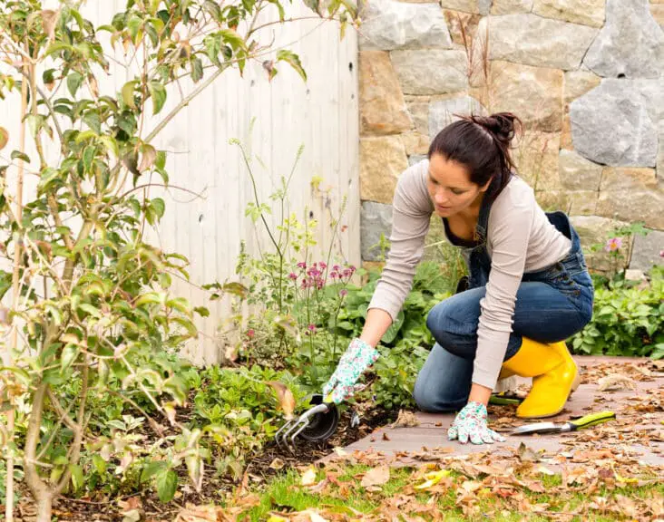 How To Sharpen Gardening Clippers