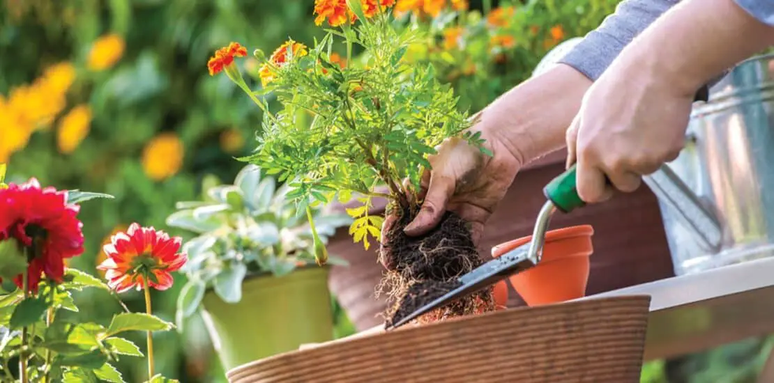 How To Hang Gardening Tools