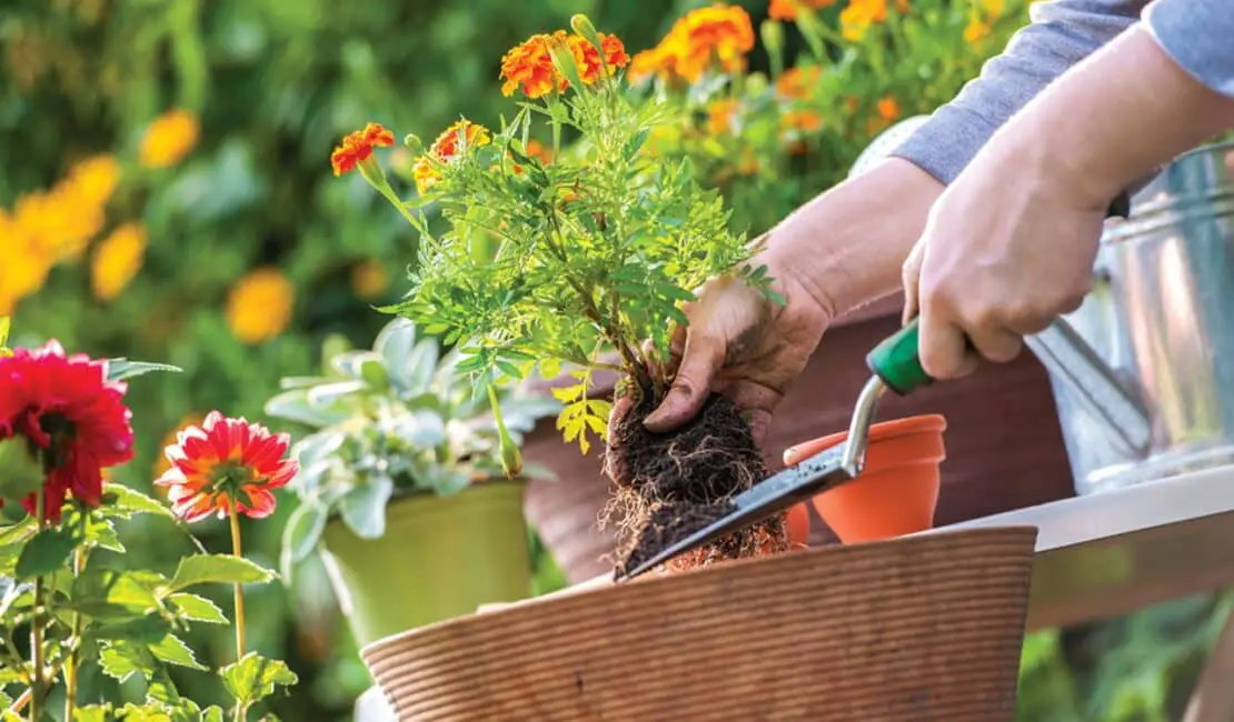 How To Hang Gardening Tools