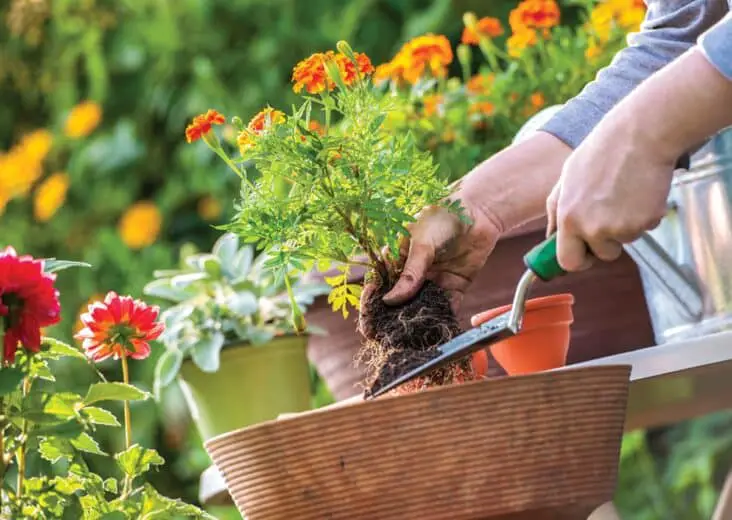 How To Hang Gardening Tools