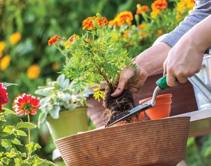 How To Hang Gardening Tools