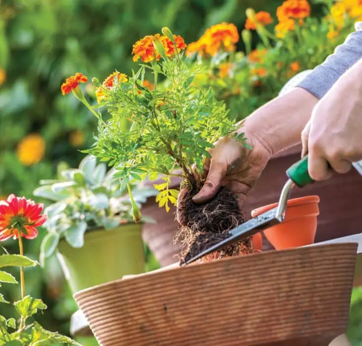 How To Hang Gardening Tools