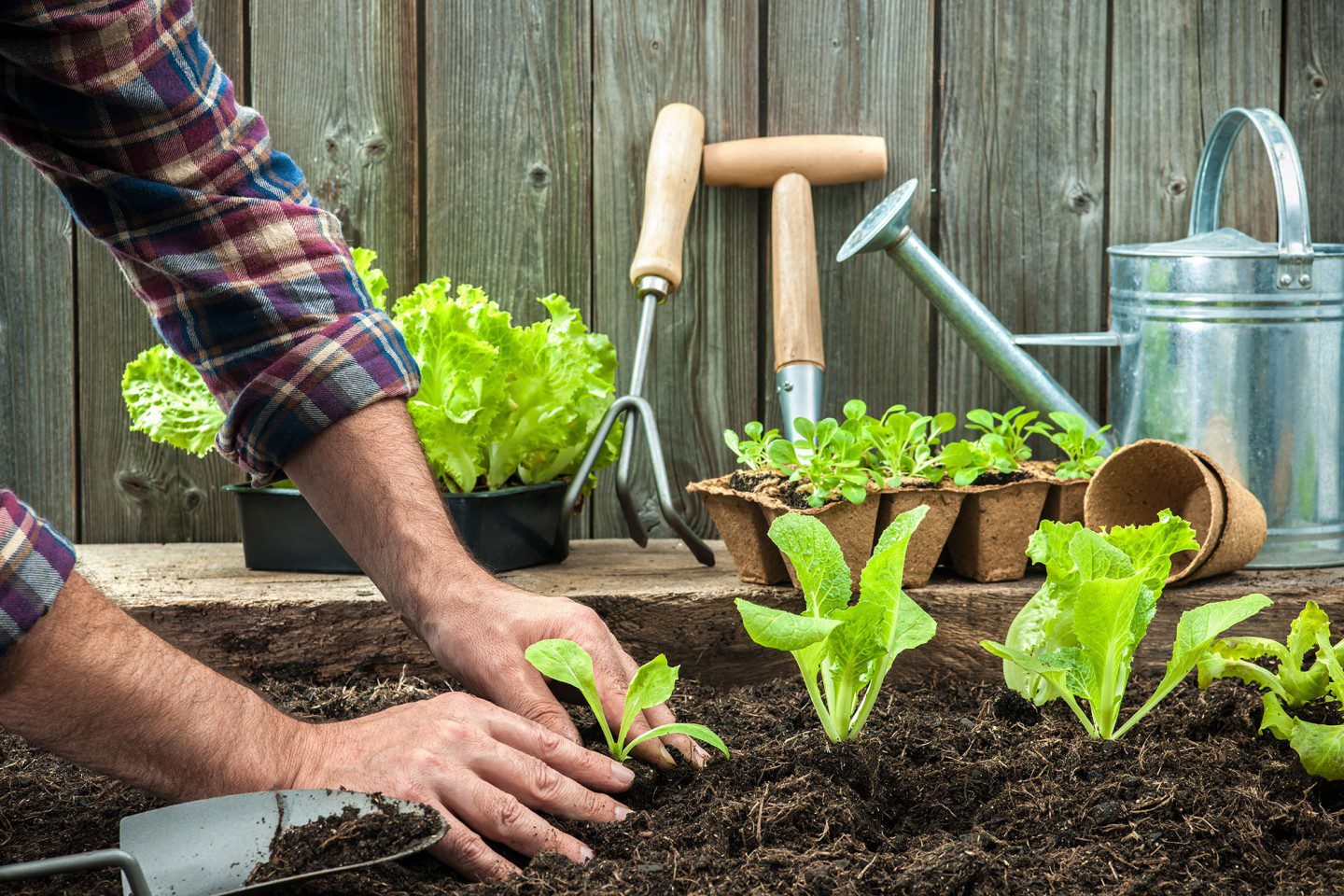 Is Top Soil Good For Gardening