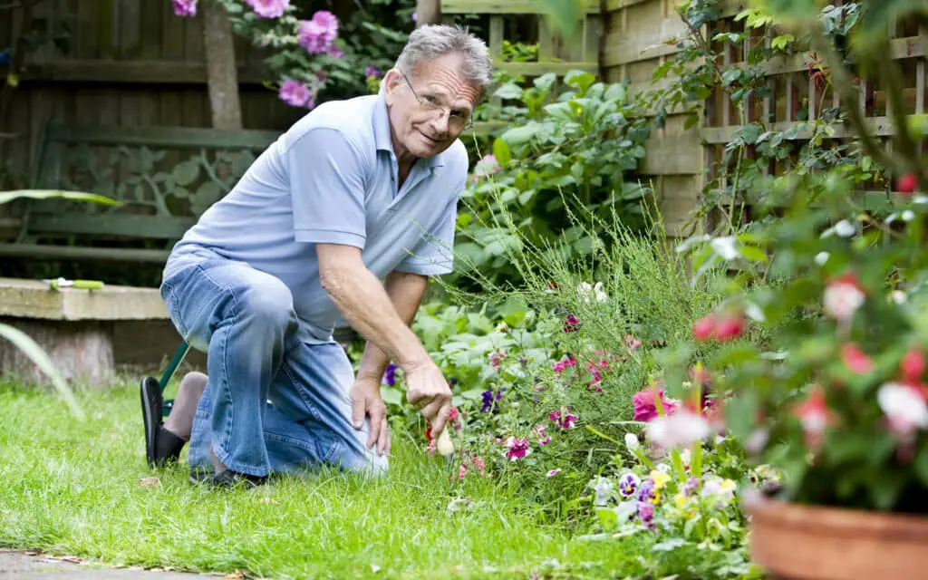 How Much Does A Gardener Cost