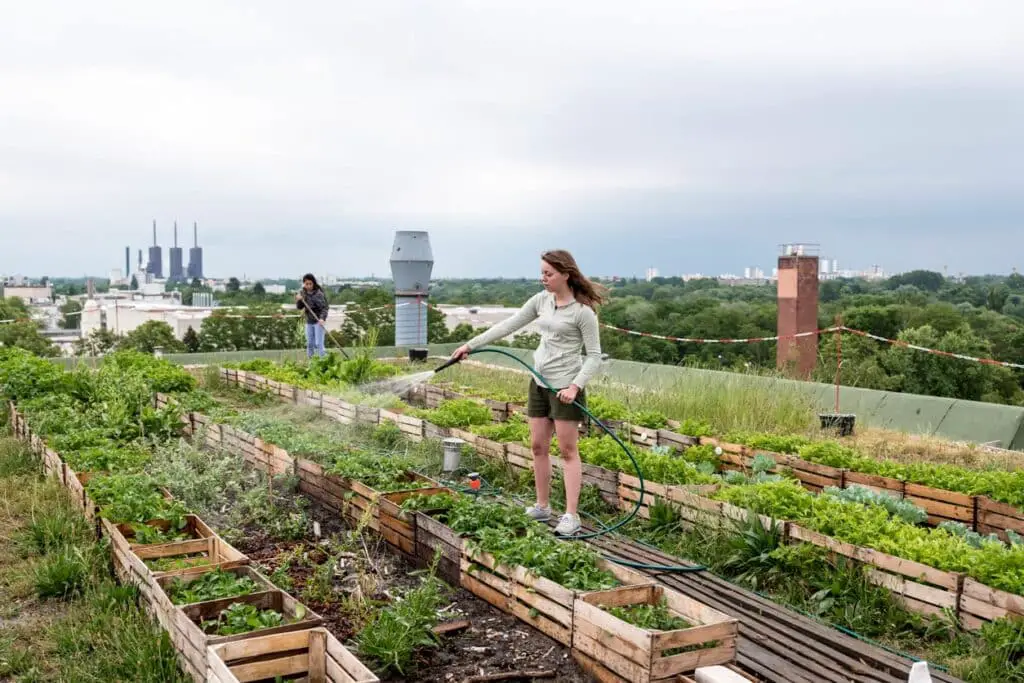 What Is Urban Gardening