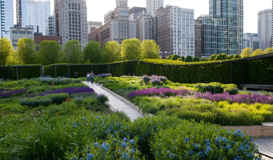 What Gardening Zone Is Chicago