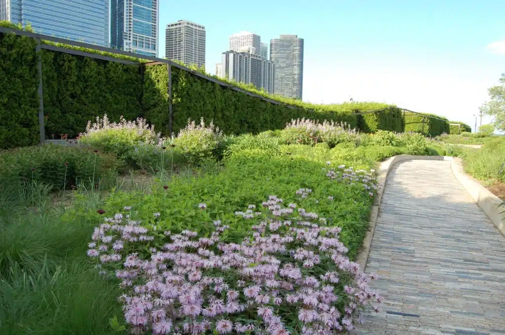 What Gardening Zone Is Chicago