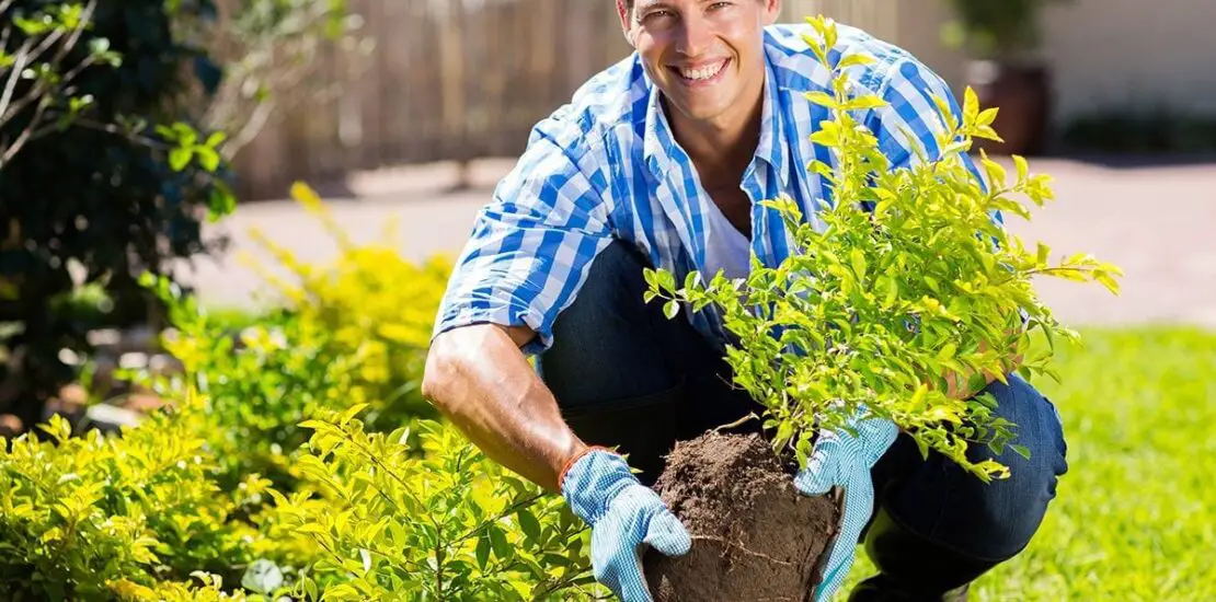 How Many Calories Do You Burn Gardening