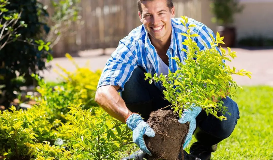 How Many Calories Do You Burn Gardening