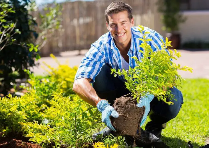 How Many Calories Do You Burn Gardening