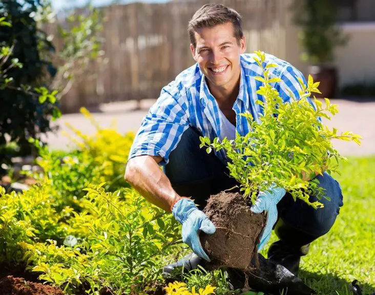 How Many Calories Do You Burn Gardening