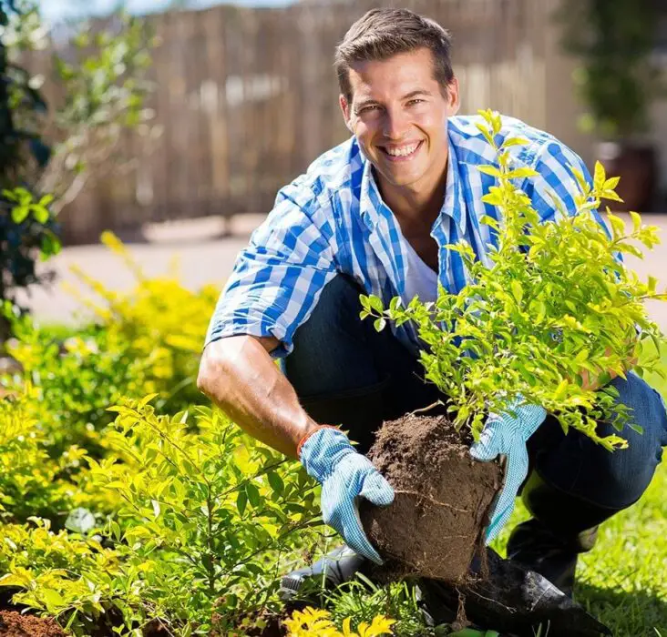 How Many Calories Do You Burn Gardening