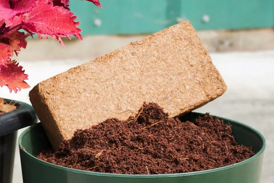 How To Use Coconut Coir In Gardening 
