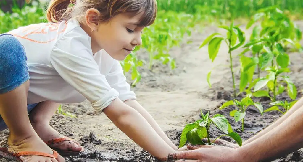 How Does Gardening Help A Child's Development