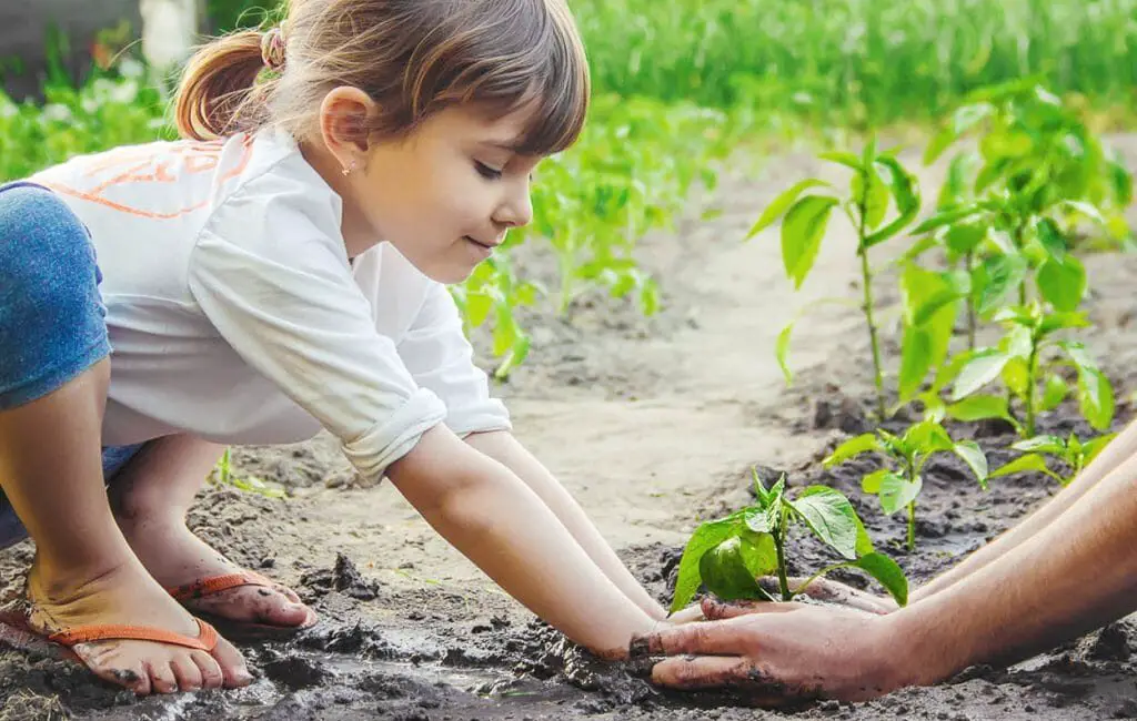 How Does Gardening Help A Child's Development