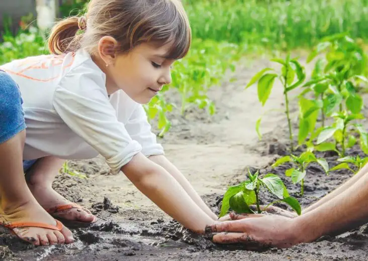 How Does Gardening Help A Child's Development