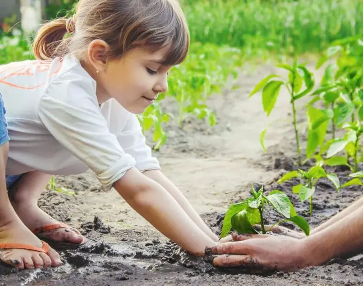 How Does Gardening Help A Child's Development