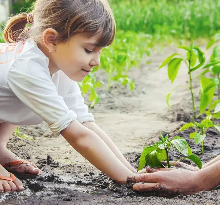 How Does Gardening Help A Child's Development