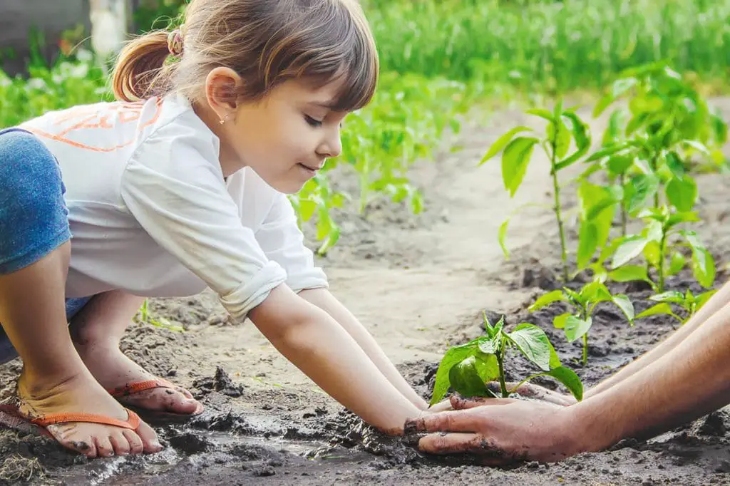 How Does Gardening Help The Environment