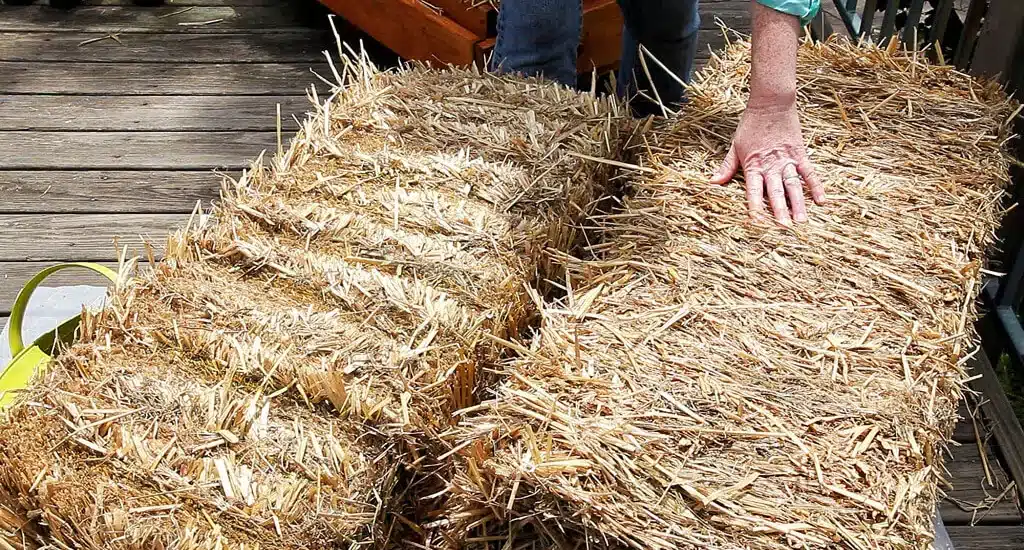 How To Condition Straw Bales For Gardening