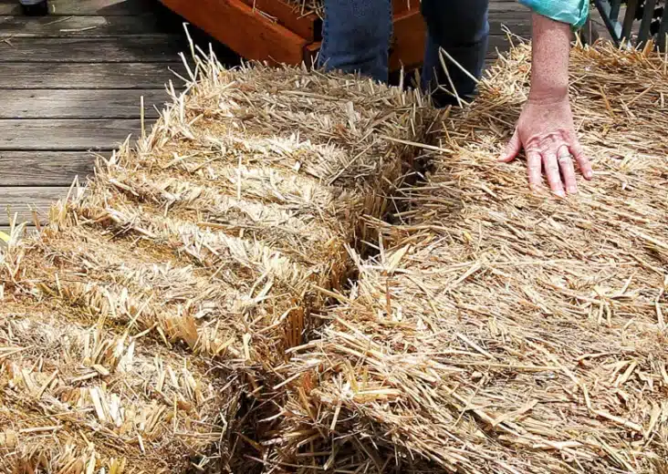 How To Condition Straw Bales For Gardening