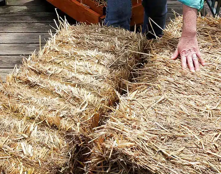 How To Condition Straw Bales For Gardening