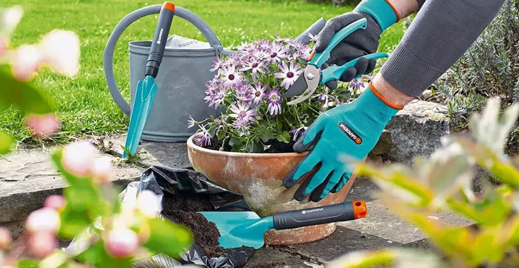 How To Clean Gardening Tools