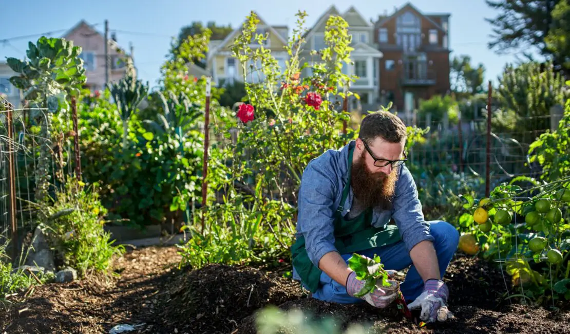 What Is Electroculture Gardening