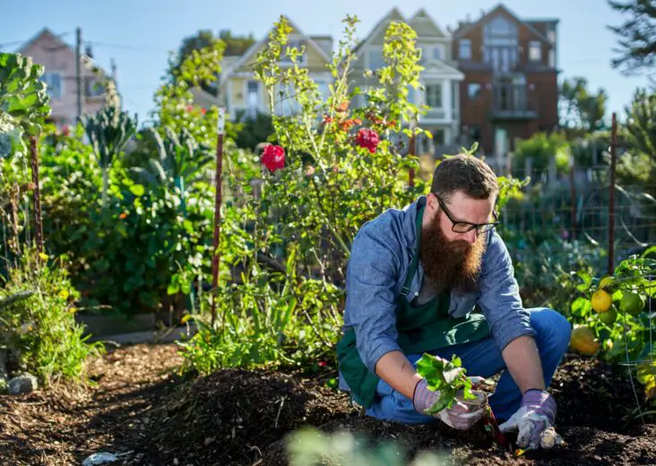 What Is Electroculture Gardening