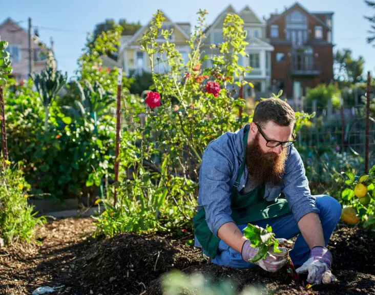 What Is Electroculture Gardening