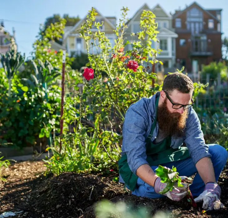 What Is Electroculture Gardening