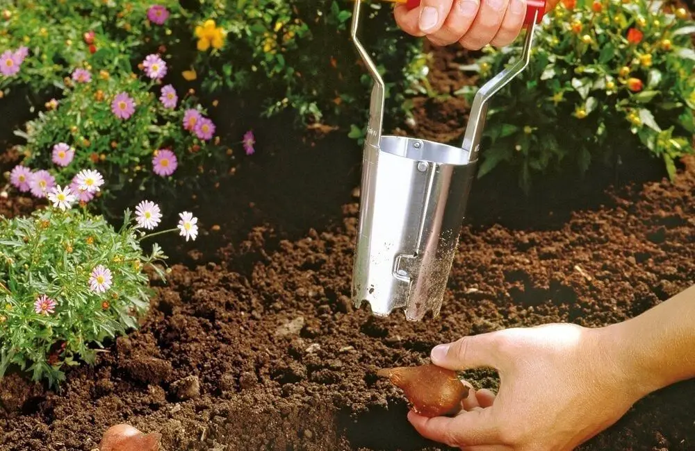 What's The Difference Between Potting Soil And Gardening Soil