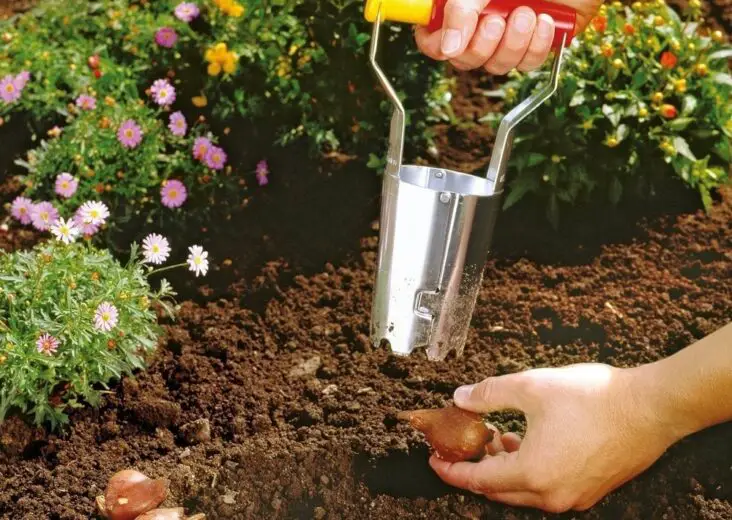 What's The Difference Between Potting Soil And Gardening Soil