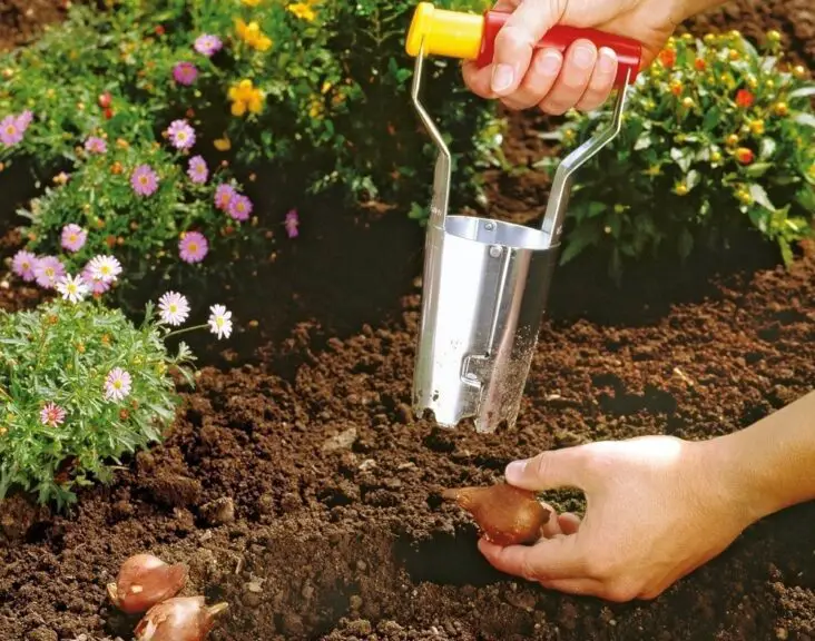 What's The Difference Between Potting Soil And Gardening Soil