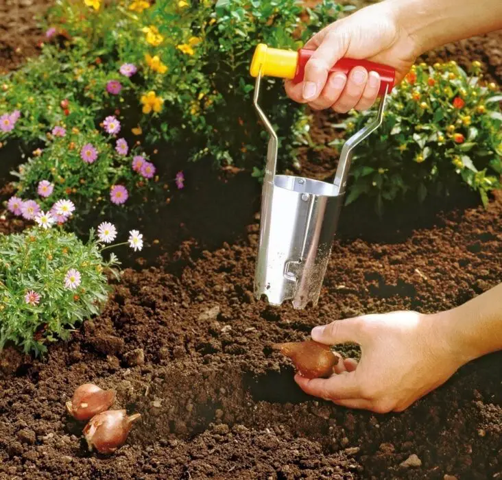 What's The Difference Between Potting Soil And Gardening Soil