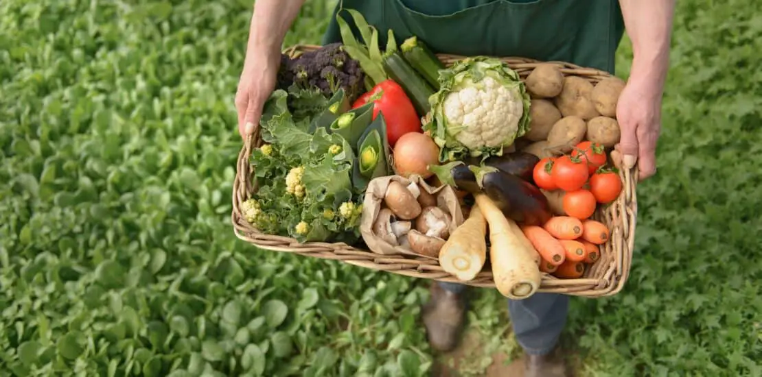 Is Market Gardening Intensive Or Extensive