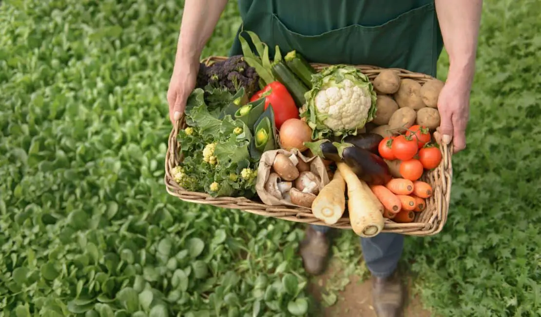 Is Market Gardening Intensive Or Extensive