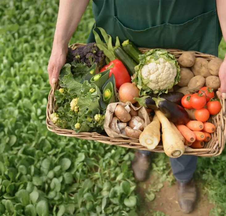 Is Market Gardening Intensive Or Extensive